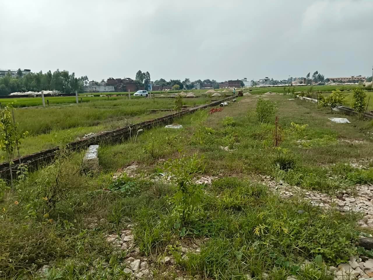 Featured Property